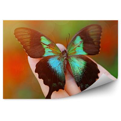 Fototapet pentru perete Mână Feminină Cu Fluture Colorat Negru Verde