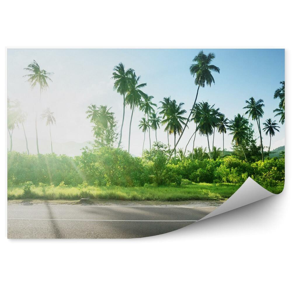 Fototapet Drum Gol Junglă Copaci Plante Cer Nori Seychelles