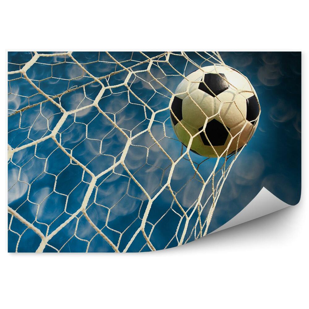 Fototapet pentru perete Goal mingea cer