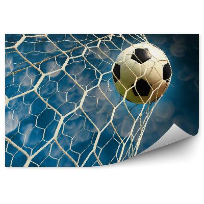 Fototapet pentru perete Goal mingea cer