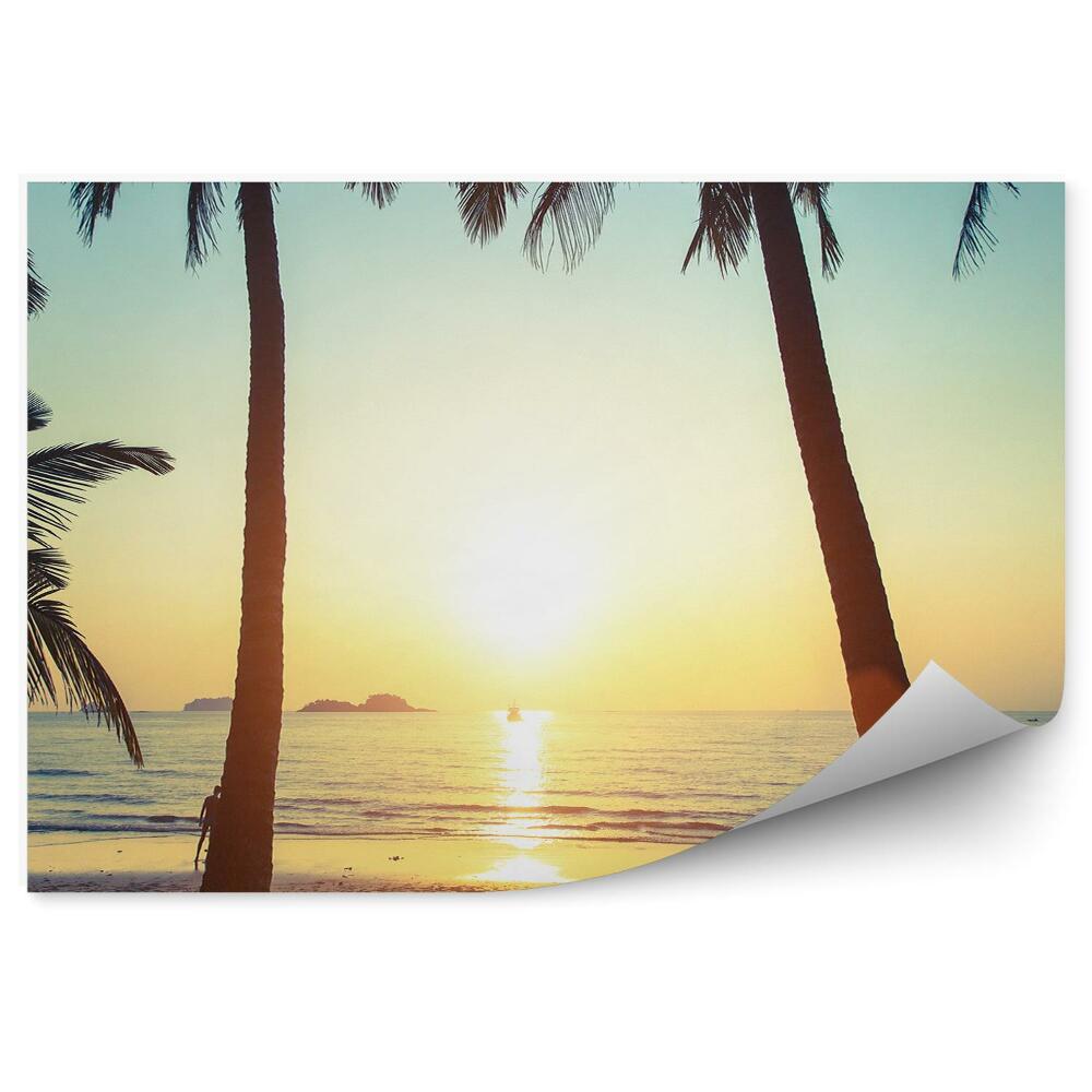 Fototapet Ocean Iarbă Plajă Om Palmieri Apus De Soare