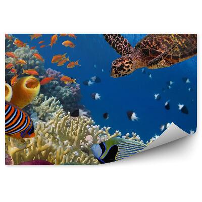 Fototapet vintage Pește Țestoasă Și Corali