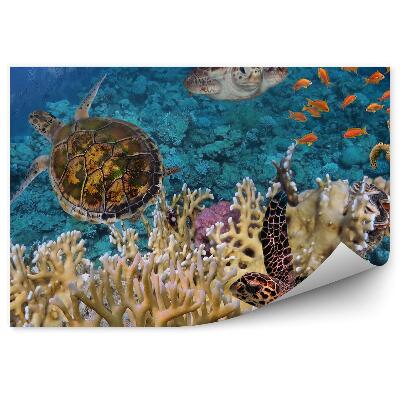 Fototapet pentru perete Pește Țestoasă Și Recif De Corali