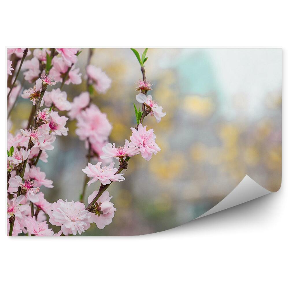 Fototapet pentru perete Flori de cires natura vegetatie gradina china