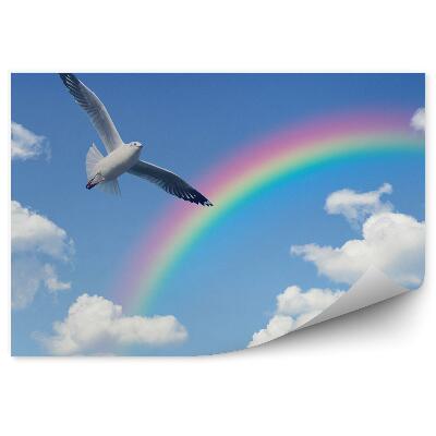 Fototapet Cerul Curcubeu Înnori Porumbel Alb