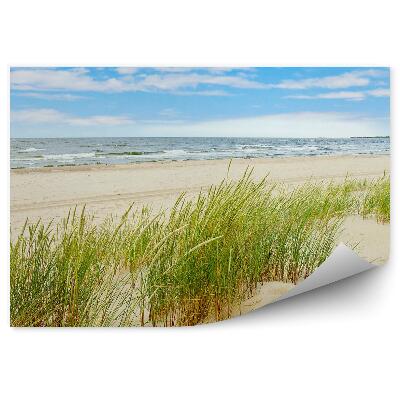 Fototapet perete Iarbă Dune Plajă Polonia Marea Baltică