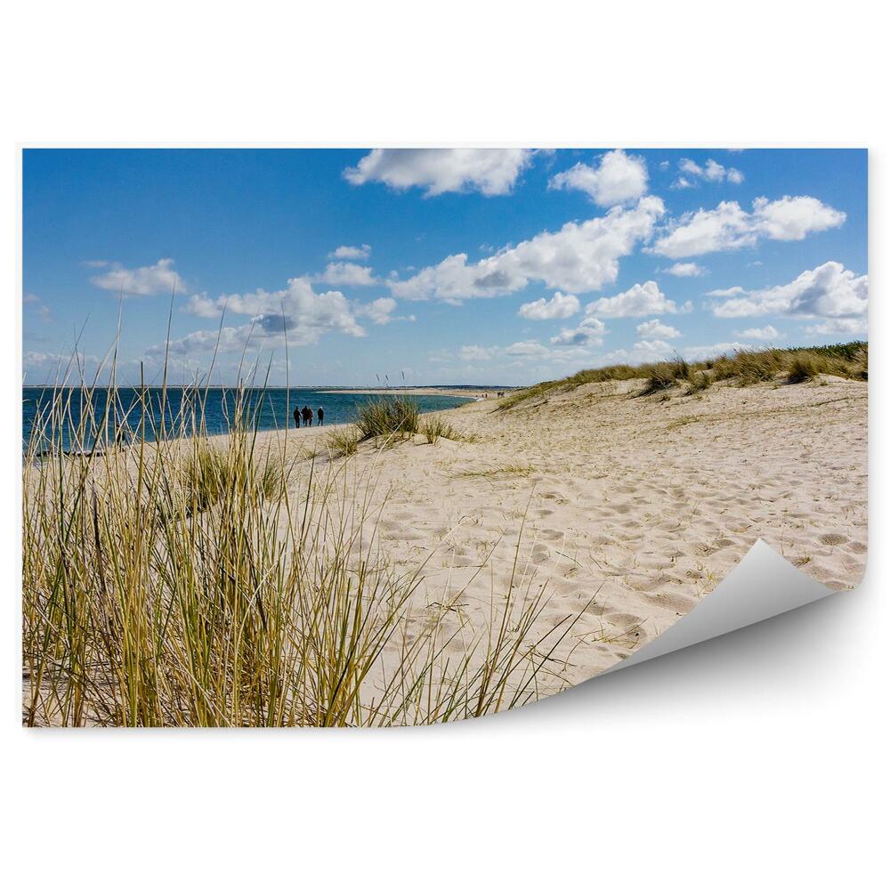 Fototapet pentru perete Plajă Iarbă Ocean Oameni Cer Nori Sylt Germania