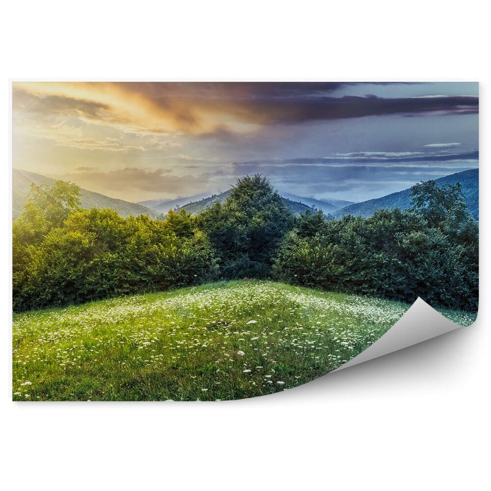 Decor fototapet Poiana Cu Flori Verde Zi Noapte Soare Luna