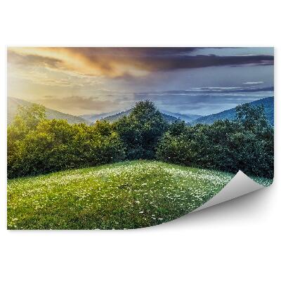 Decor fototapet Poiana Cu Flori Verde Zi Noapte Soare Luna