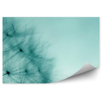 Fototapet vintage Semințe de plante de păpădie