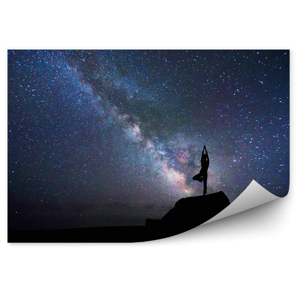 Fototapet vintage Yoga Construind Copaci Calea Lactee Stele Cer