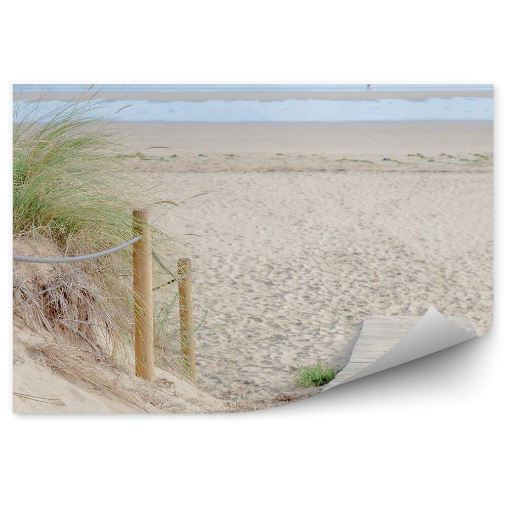 Fototapet perete Pier Plajă Iarbă Ocean Cer Nori