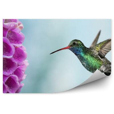 Fototapet pentru perete Pasăre Colibri Plantă De Flori Roz Colibri Pasăre