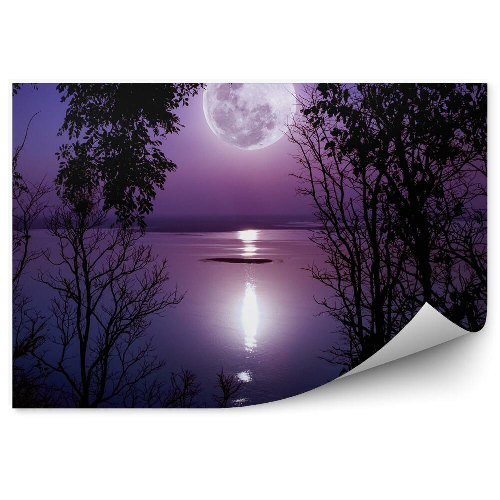 Fototapet vintage Pădure Lac Noapte Lună Umbră Lumină