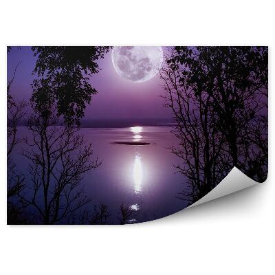 Fototapet vintage Pădure Lac Noapte Lună Umbră Lumină