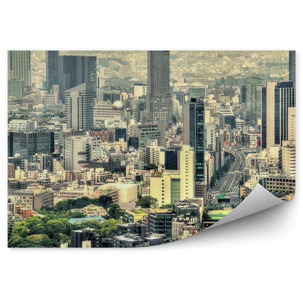 Fototapet perete Vedere Aeriană A Tokyo, Japonia