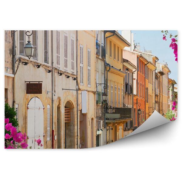 Fototapet perete Frumos Oraș Vechi Provence Aleea Florilor Franța