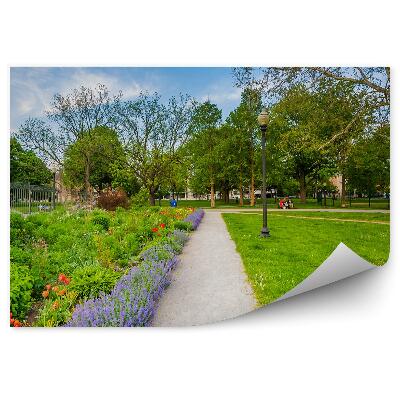 Fototapet vintage Arhitectura Flori Drum Verde Parc