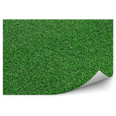 Fototapet pentru perete Textura Verde Model Câmp De Iarbă