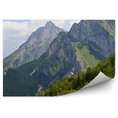 Fototapet vintage Vedere Asupra Munților Giewont Tatra, Copaci, Cer, Nori