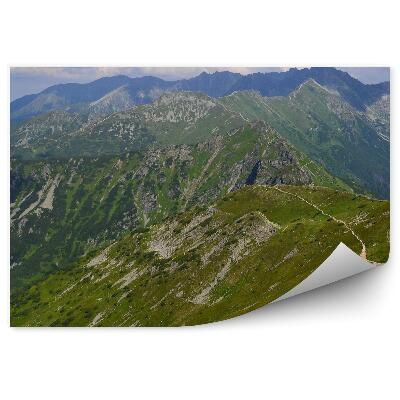 Fototapet perete Vârful Starorobociański Din Munții Tatra, Cer, Nori