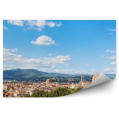 Decor fototapet Oraș Florida Munți Copaci Fântână Verde Cer Nori