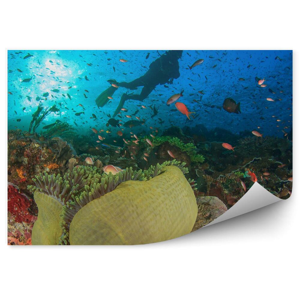 Fototapet vintage Scuba Diver animale pești din lumea subacvatică