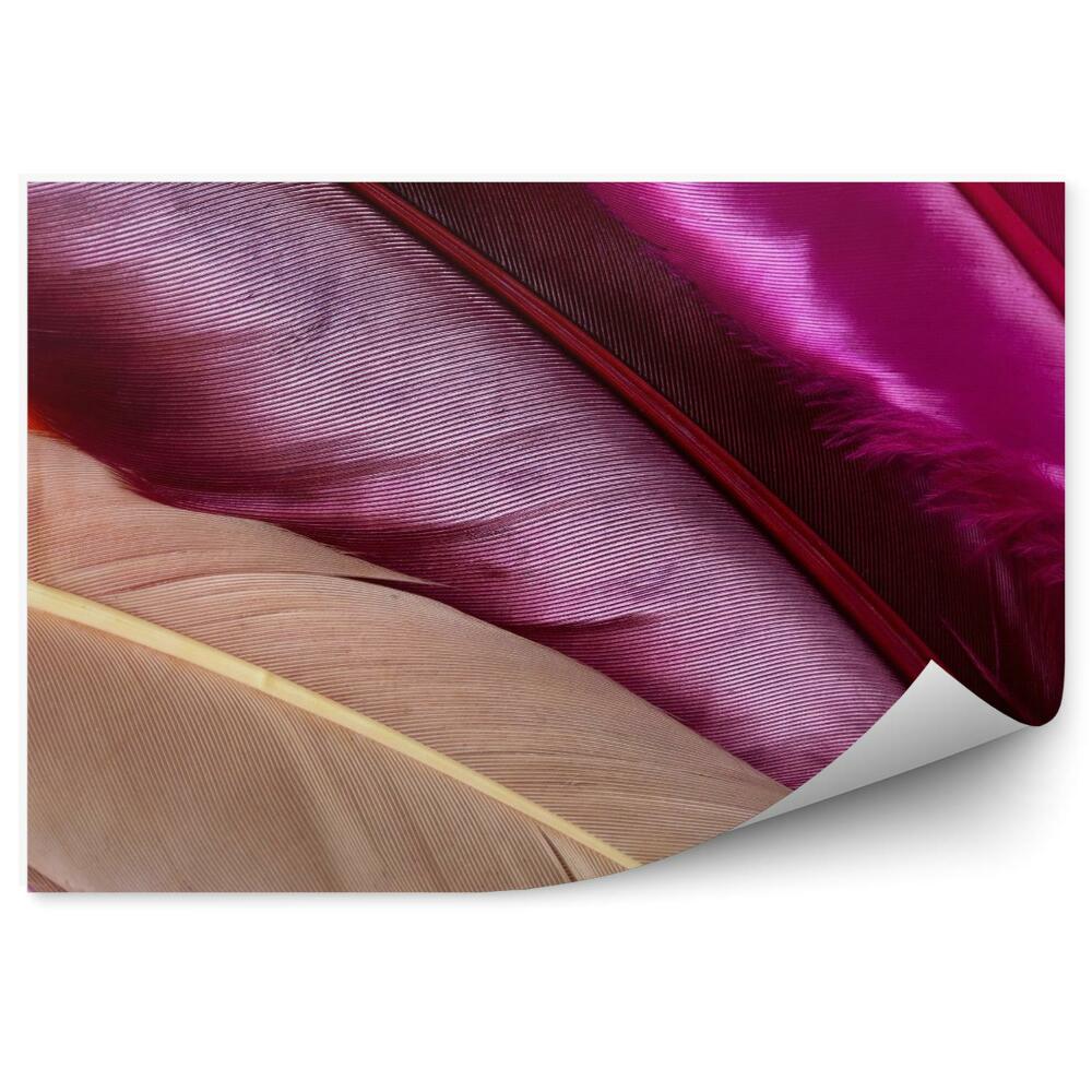 Fototapet vintage Pene colorate