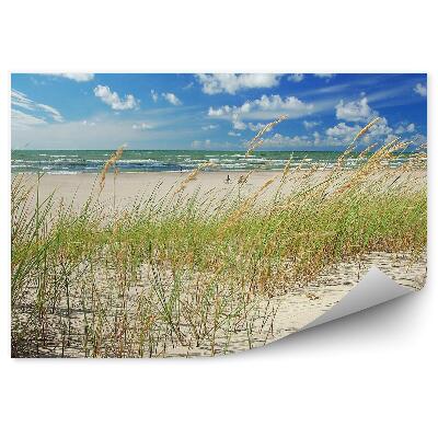 Decor fototapet Plajă Dune Iarbă Ocean Cer Nori Ventspils Letonia