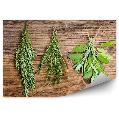 Fototapet perete Rozmarin cimbru salvie ierburi proaspete crengute