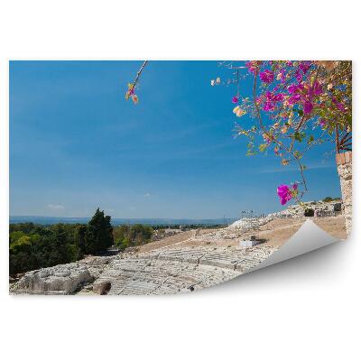 Decor fototapet Teatrul Grec Siracuza Sicilia Copac Oameni Pădure