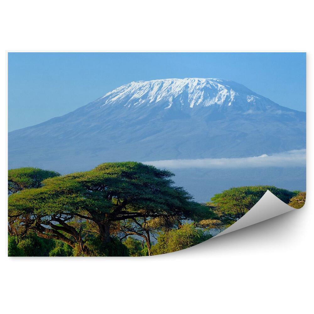 Fototapet vintage Kilimanjaro Munte Africa Copaci Plante Iarba Savana Nori Cer