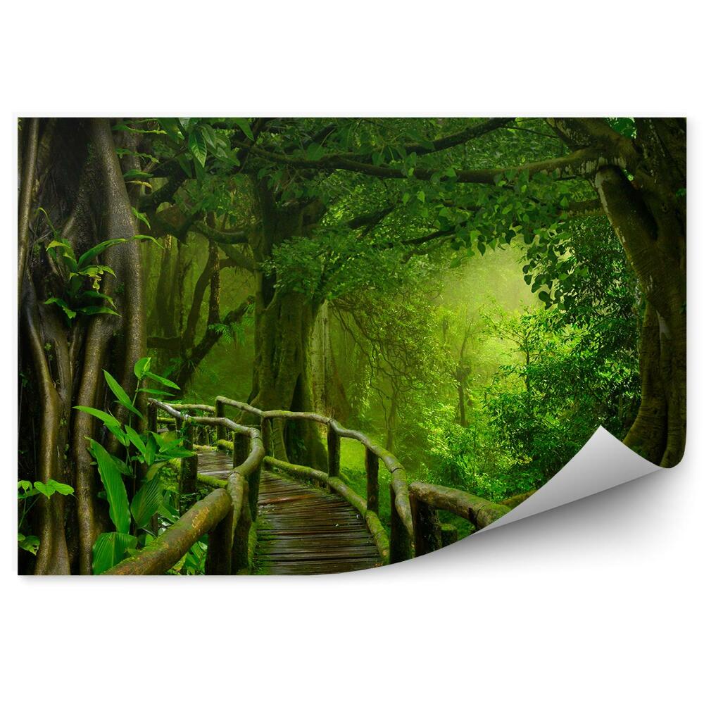 Fototapet Pod De Lemn Cu Copaci De Mușchi Părăsește Thailanda