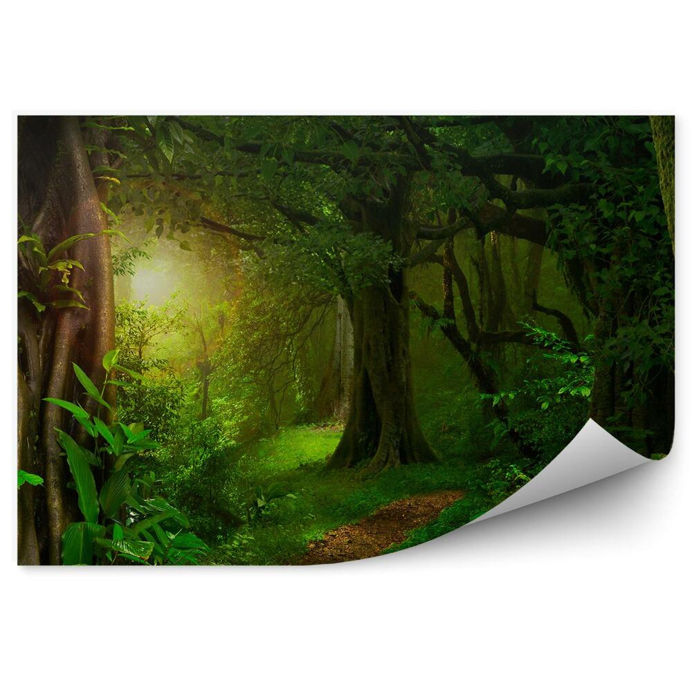 Fototapet Natura faunei sălbatice junglă copaci din Thailanda