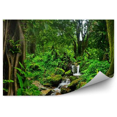 Fototapet perete Thailanda jungle stream copaci vegetație