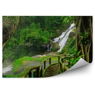 Fototapet perete Plante De Mușchi Din Podul Cascadei Din Thailanda