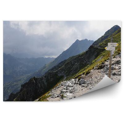 Fototapet pentru perete Valea Celor Cinci Iazuri Munții Tatra Cer Nori Semn