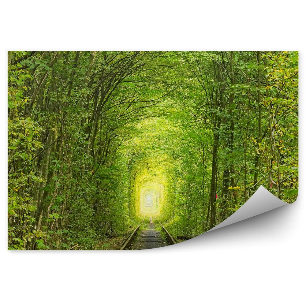 Decor fototapet Vechi Tunel De Cale Ferată Cu Copaci Verzi