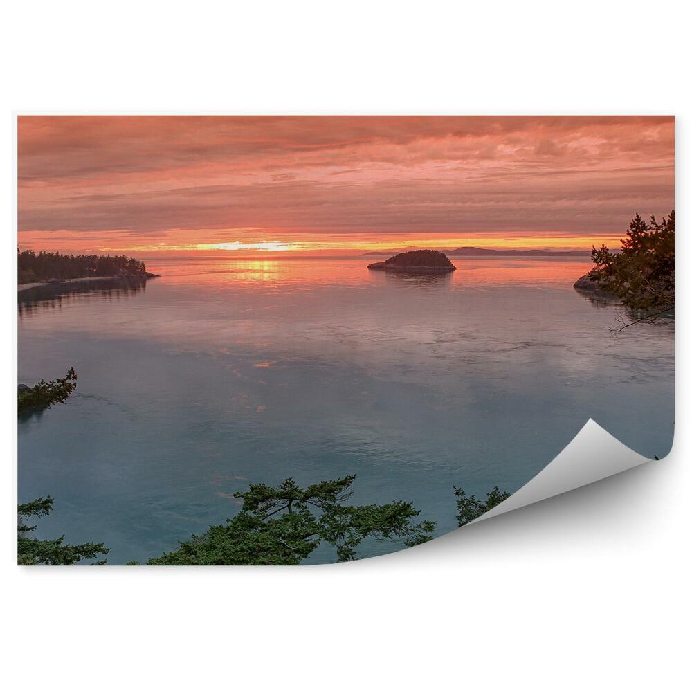 Decor fototapet Copaci Apus De Soare Stânci De Golf