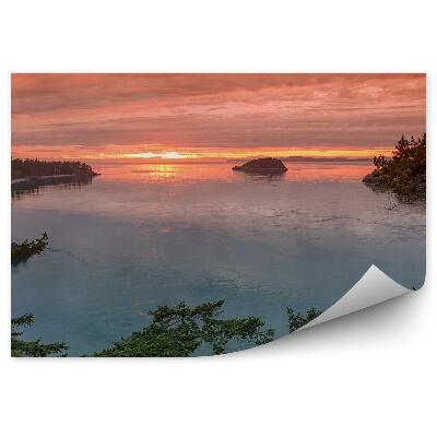 Decor fototapet Copaci Apus De Soare Stânci De Golf