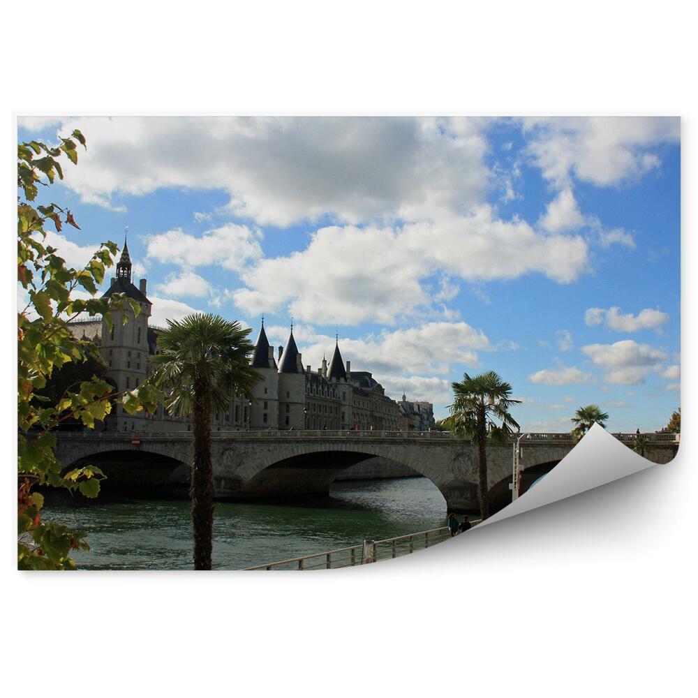 Fototapet pentru perete Terasamente Ale Senei Paris Copaci Palmieri Oameni Cer Nori