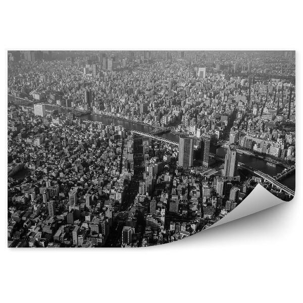 Decor fototapet Vedere Aeriană Sepia A Tokyo, Japonia