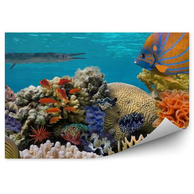 Fototapet vintage Scenă Subacvatică Cu Recif De Corali