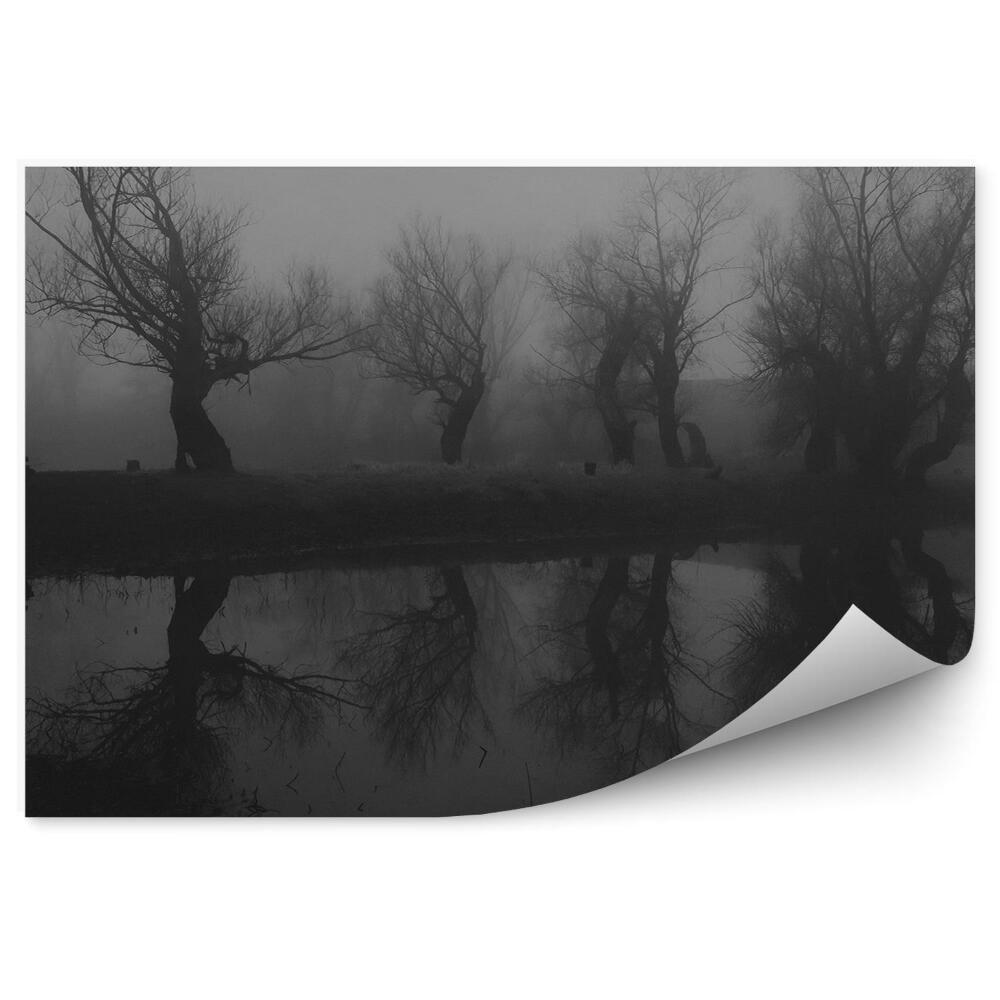 Fototapet pentru perete Lac De Pădure Întunecată