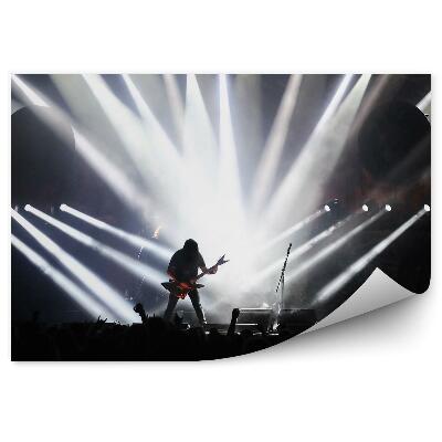 Fototapet Concert De Lumini De Scenă De Chitarist