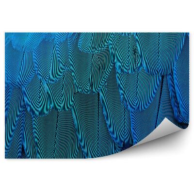 Fototapet vintage Textura Pene De Papagal Albastru