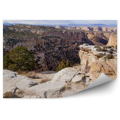 Fototapet perete Munții Stânci Deșert Copaci Cer Nori