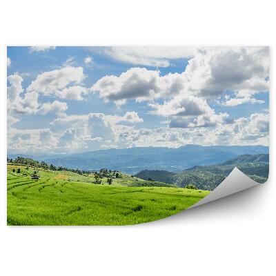 Fototapet vintage Orez verde terase natura Thailanda