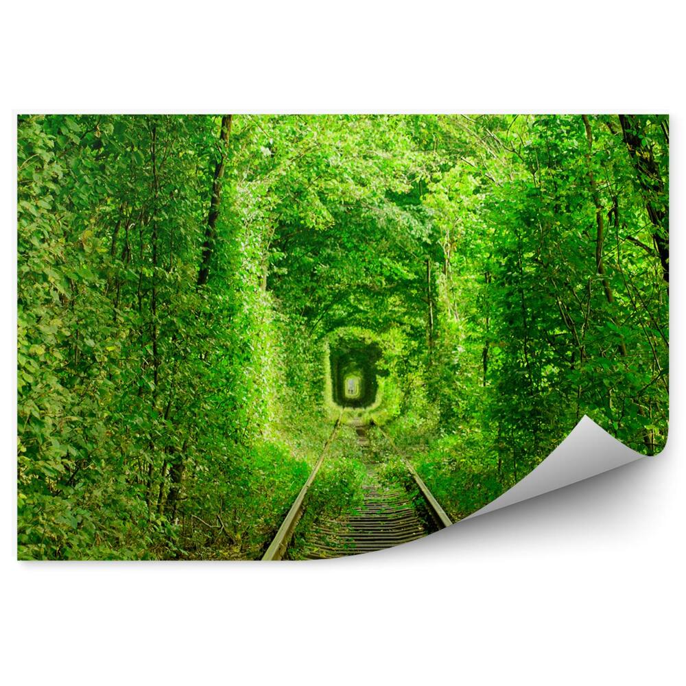 Fototapet pentru perete Tunel Verde Cu Urme De Copaci