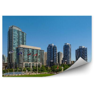 Fototapet perete Parcul Olimpic De Iarbă Pe Orizontul Orașului Toronto